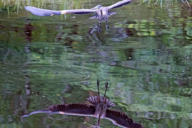 2-hour-wildlife-and-culture-small-van-excursion-2