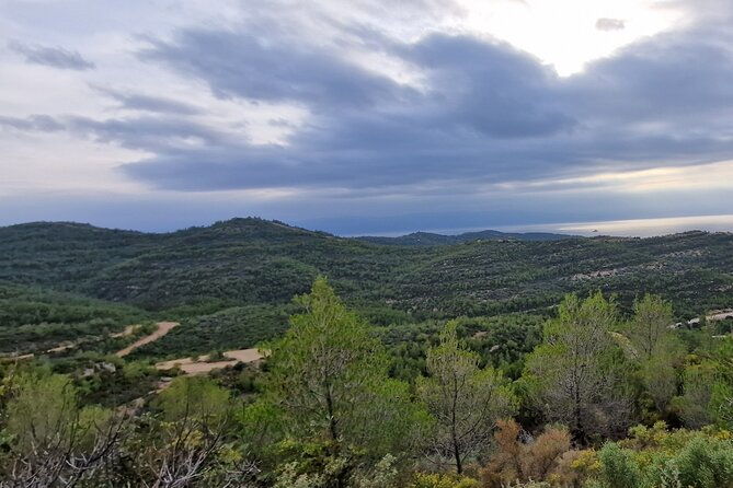 2-hours-4x4-tour-in-spetses-safari