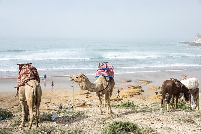 2 Hours Activity Surfing lessons in Taghazout - Surfing Lessons in Taghazout: An Authentic Moroccan Wave Experience