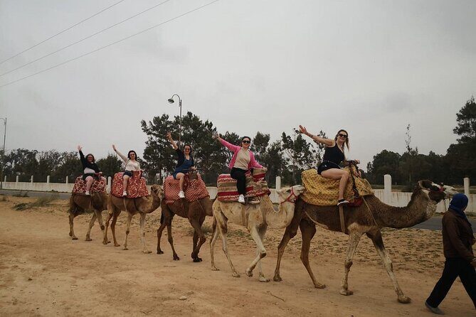 2 Hours Agadir Camel Riding Tour - Key Points
