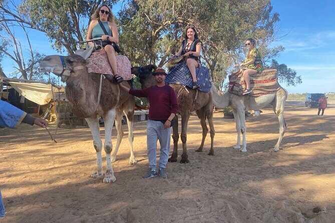 2 Hours Agadir Camel Riding Tour - A Practical Look at the Agadir Camel Riding Tour