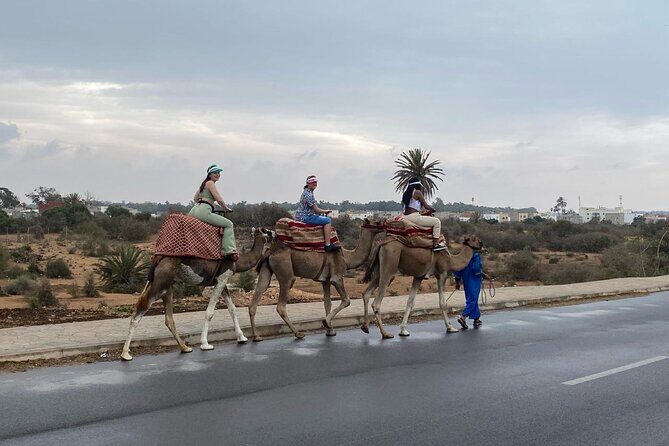 2 Hours Agadir Camel Riding Tour - Who Should Consider This Tour?