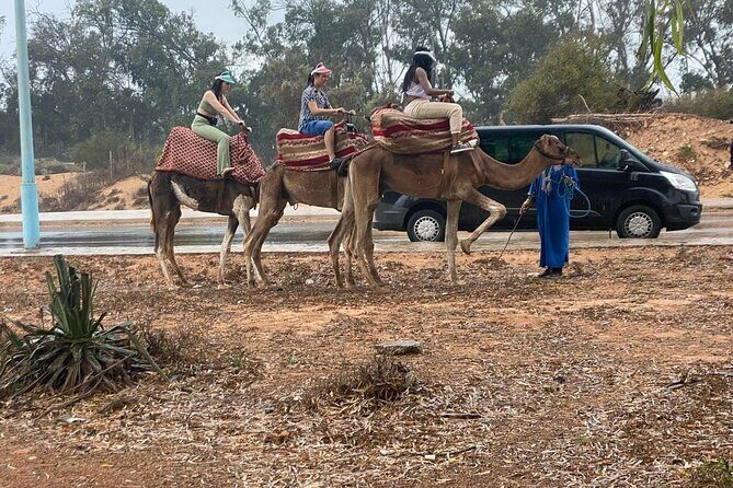 2 Hours Agadir Camel Riding Tour - Final Thoughts