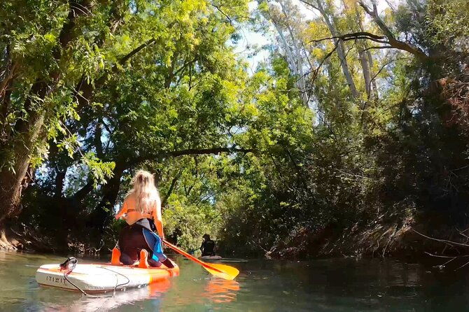 2-hours-and-a-half-sup-tour-in-the-ciane-reserve-in-syracuse