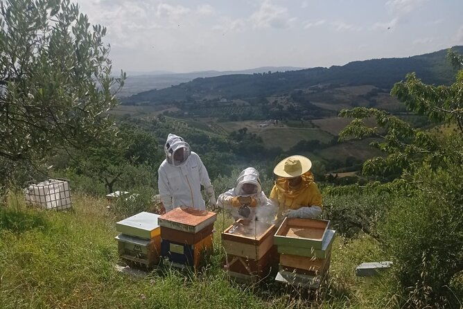 2-hours-beekeeping-and-honey-tasting-activities-in-assisi