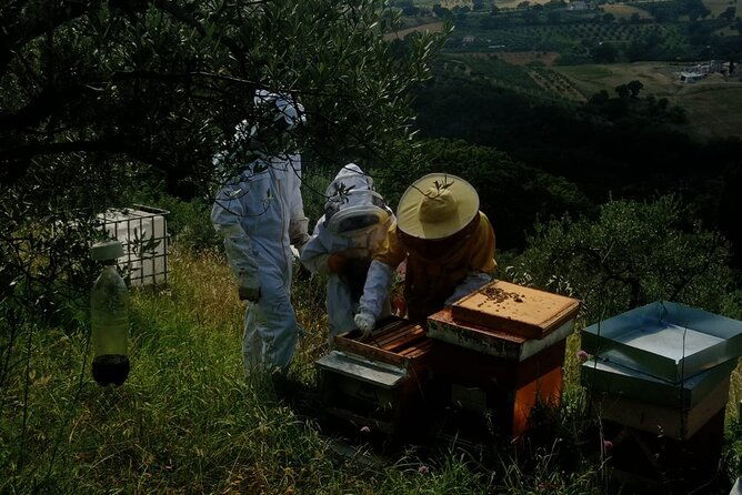 2-hours-beekeeping-and-honey-tasting-activities-in-assisi