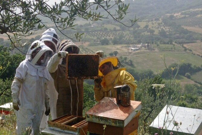 2-hours-beekeeping-and-honey-tasting-activities-in-assisi