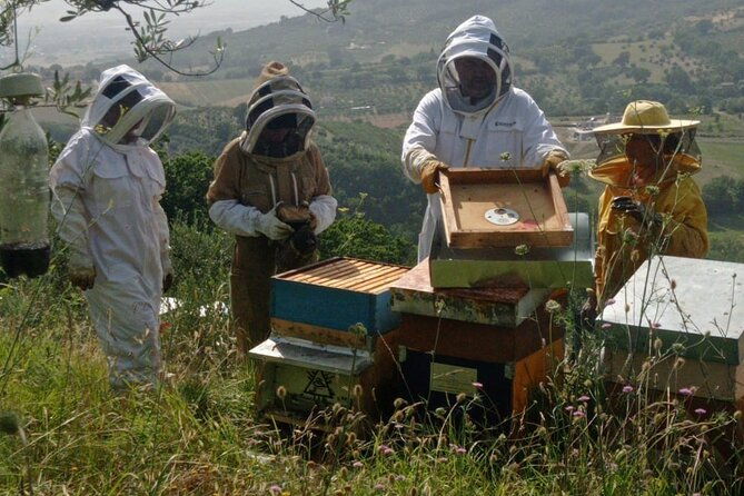2-hours-beekeeping-and-honey-tasting-activities-in-assisi