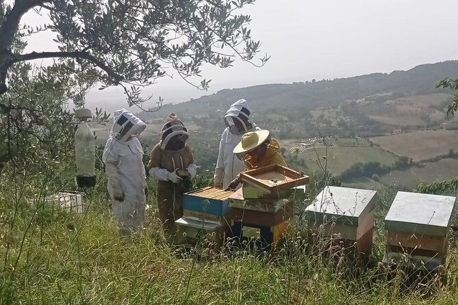 2-hours-beekeeping-and-honey-tasting-activities-in-assisi