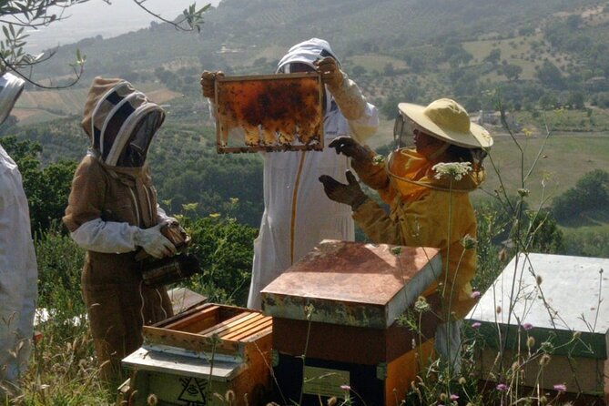 2-hours-beekeeping-and-honey-tasting-activities-in-assisi