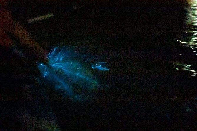 2-hours-bioluminescence-tour-by-kayak-in-paquera