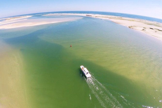 2-hours-boat-tour-in-ria-formosa