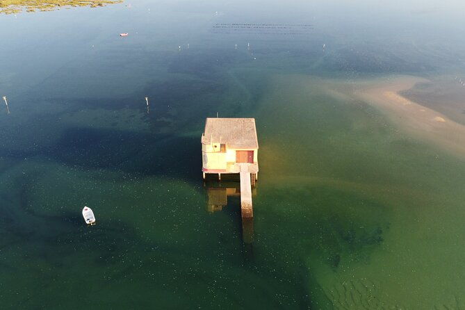 2-hours-boat-tour-in-ria-formosa