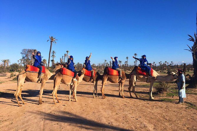 2 Hours Camel Ride in The Famous Marrakech Palm Groves and Berber Villages - A Closer Look at the Itinerary and Experience