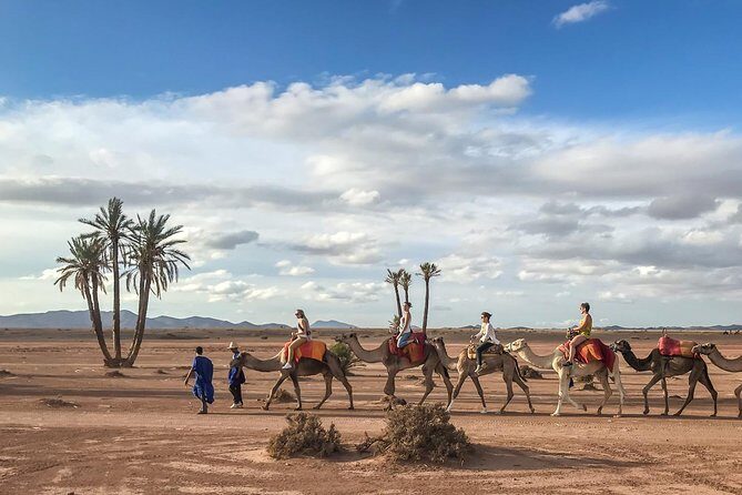 2 Hours Camel Ride in The Famous Marrakech Palm Groves and Berber Villages - The Sum Up