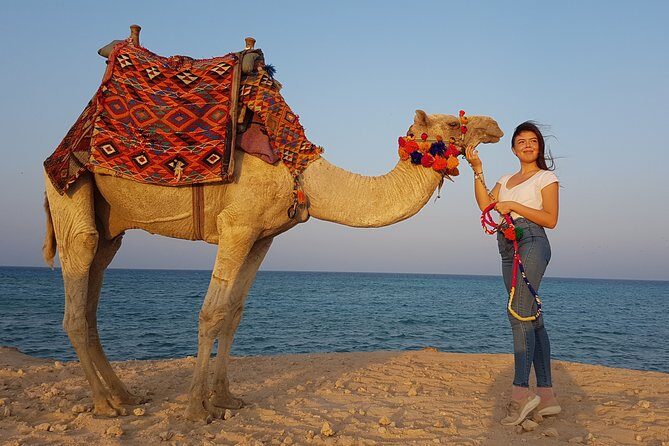 2 hours Camel Riding at Amazing Desert & Sea With Transfer - Hurghada - Key Points