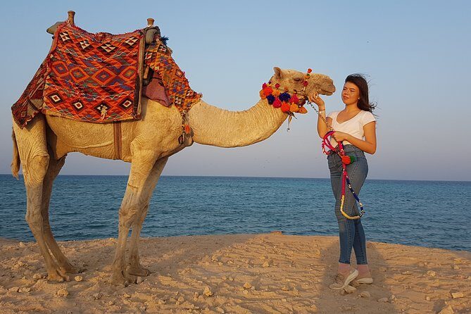2 hours Camel Riding at Amazing Desert & Sea With Transfer - Hurghada - Final Thoughts: Who Should Book This Tour?