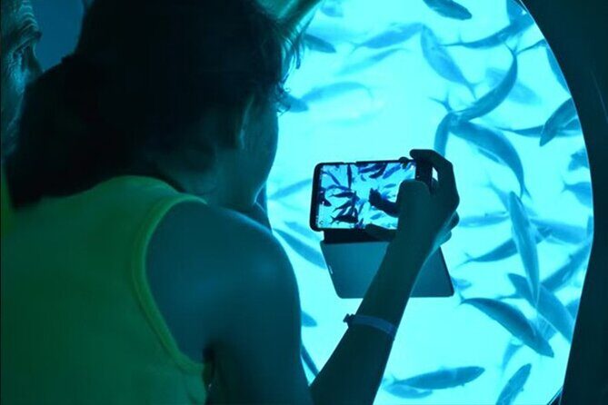 2 Hours Catamaran and Semi Submarine with Snorkeling in Hurghada - Additional Tips
