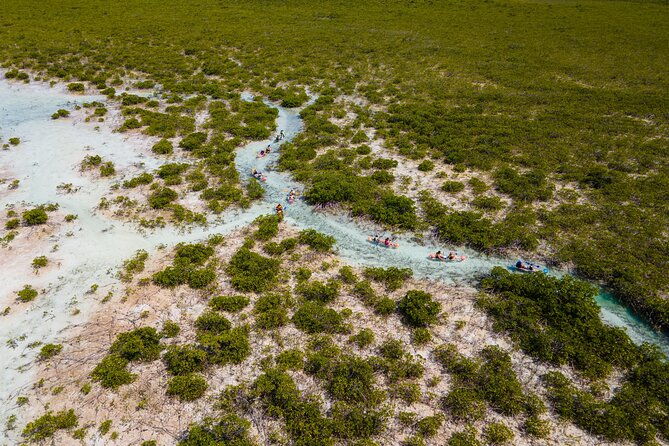 2-hours-clear-kayaking-activity-on-mangrove-cay