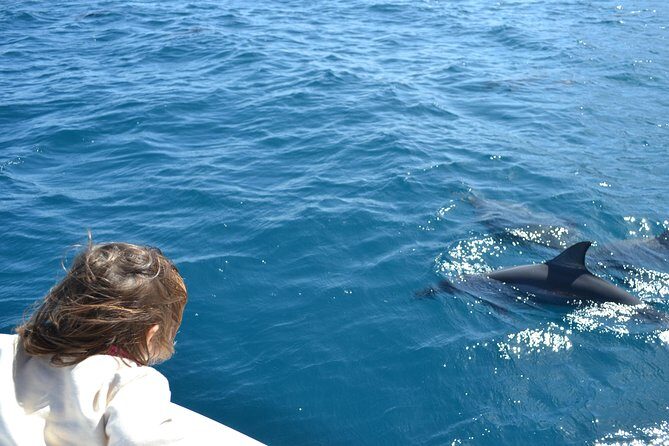 2-Hours Dolphin Excursion in Mauritius - Authentic Insights from Reviewers