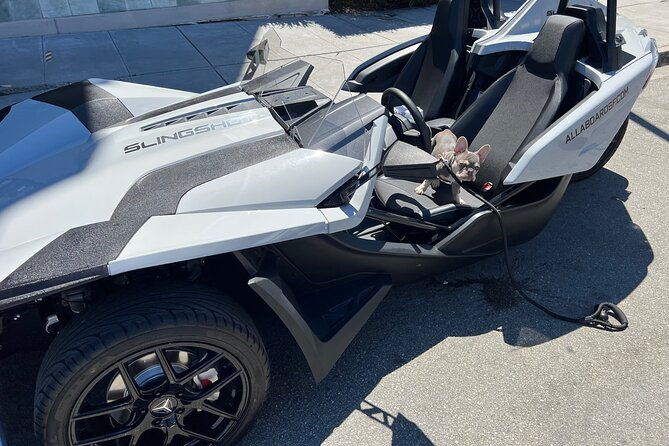 2-hours-fun-in-a-automatic-slingshot