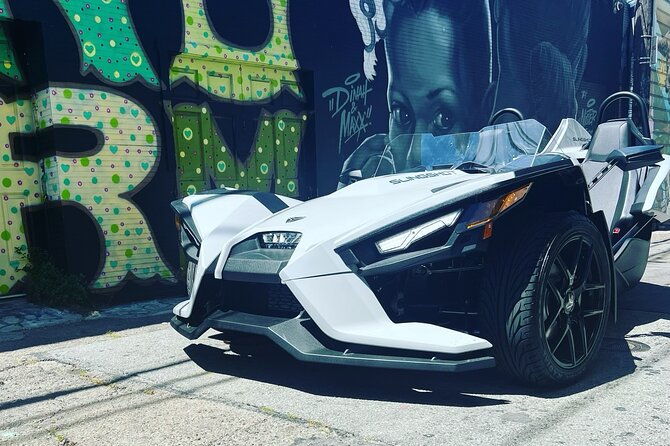 2-hours-fun-in-a-automatic-slingshot