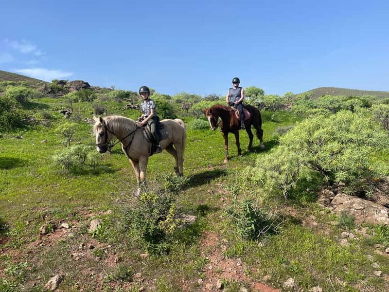 2 hours Green Mountains Horse Riding Tour - An In-Depth Look at the Experience