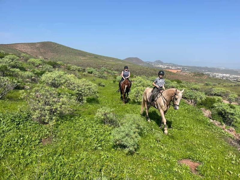 2 hours Green Mountains Horse Riding Tour - Authenticity and the Review Insights