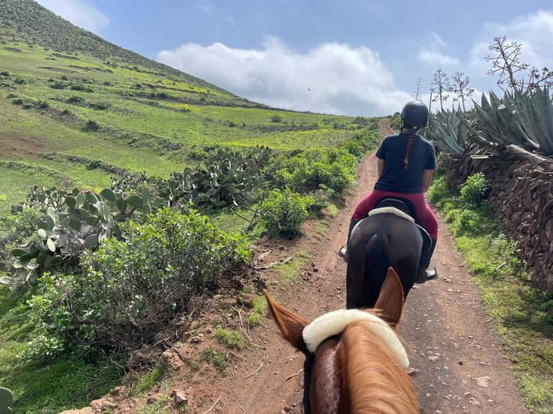 2 hours Green Mountains Horse Riding Tour - The Sum Up: Is It Worth It?