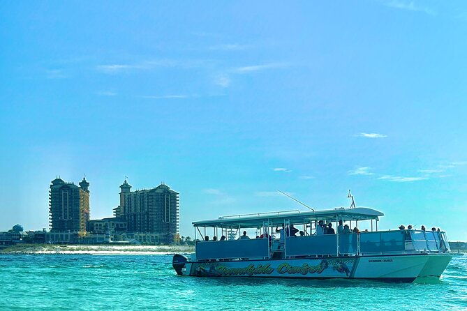 2-hours-guided-afternoon-dolphin-tour-in-florida