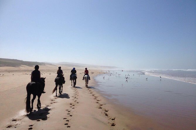 2 hours horse ride beach and dunes in Essaouira Morocco - An In-Depth Look at the Essaouira Horseback Ride