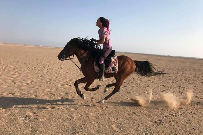2 Hours Horse Riding Adventure in The Sea & Desert - Hurghada - Who Is This Tour Best For?  