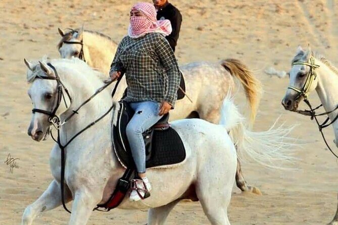2 hours Horse Riding At Amazing Desert With Transfer - Sharm El Sheikh - Key Points