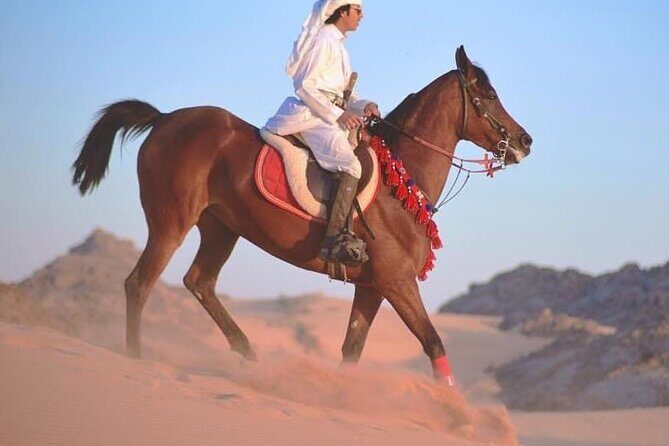 2 hours Horse Riding At Amazing Desert With Transfer - Sharm El Sheikh - Additional Practicalities
