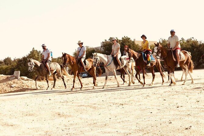 2 hours Horse Riding on The Sea and Desert- Hurghada - Key Points