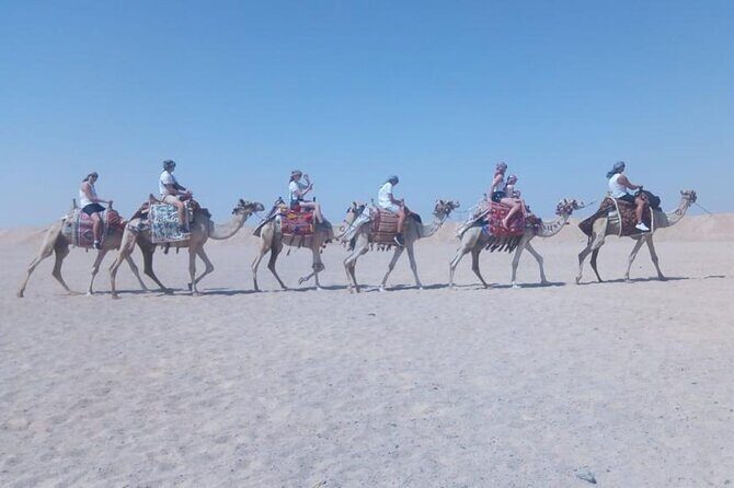 2 hours Horse Riding on The Sea and Desert- Hurghada - Authentic Experiences and Real Insights