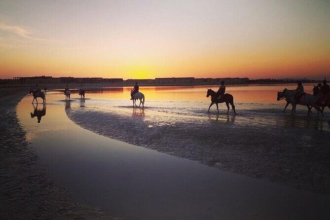 2 hours Horse Riding on The Sea and Desert- Hurghada - Who Should Consider This Tour?