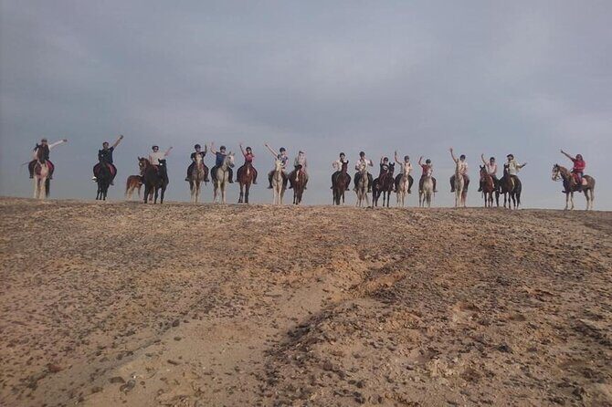 2 hours Horse Riding on The Sea and Desert- Hurghada - Final Thoughts