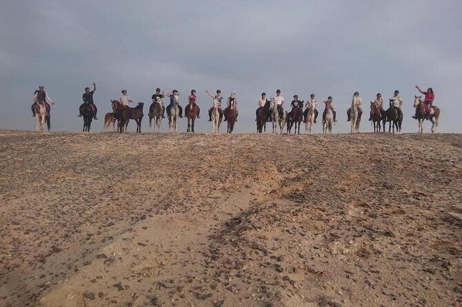 2 hours Horse Riding on The Sea and Desert- Hurghada - FAQ