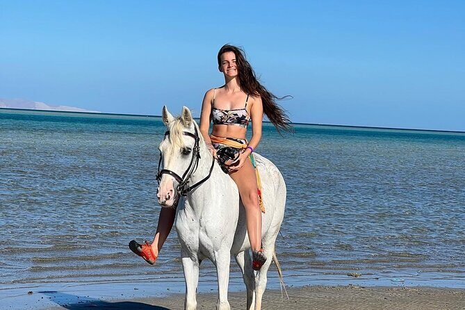 2 hours Horse riding or Camel riding at Hurghada - Deep Dive into the Experience