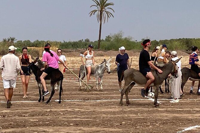 2 Hours of Donkey Polo in Marrakech - Key Points