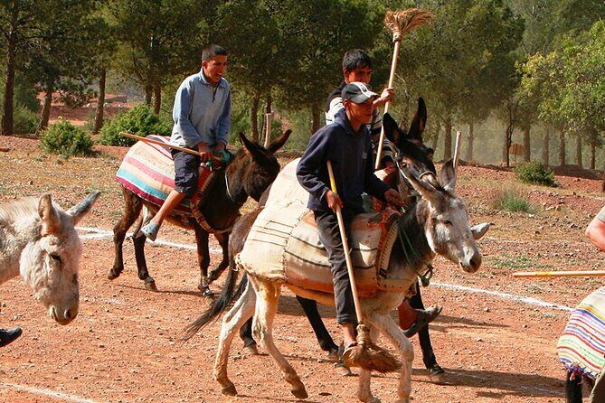 2 Hours of Donkey Polo in Marrakech - The Reality of Donkey Polo