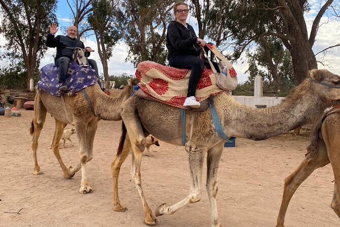 2 Hours Private Camel Ride in Agadir - Detailed Breakdown of the Experience