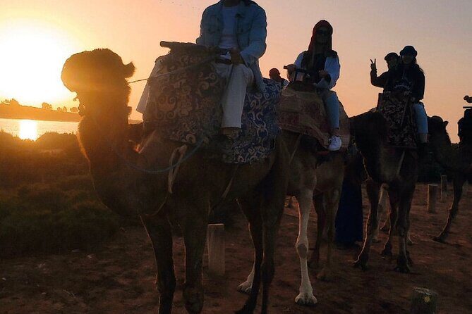 2 Hours Private Camel Ride in Agadir - Who Should Book This Tour?