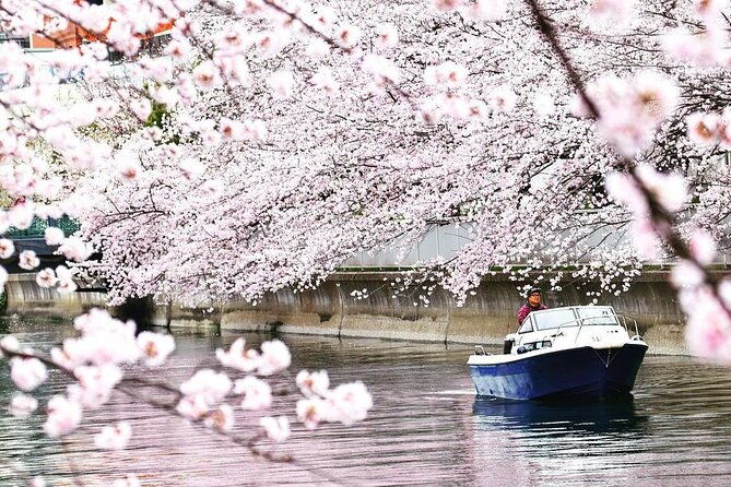 2-hours-private-cruising-boat-tourtokyo-bay-river