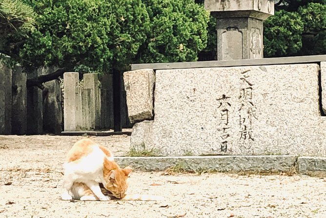 2-hours-private-guided-walking-tour-in-osaka
