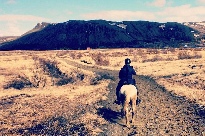 2-hours-private-horse-riding-to-lake-hafravatn-reykjavik-mos