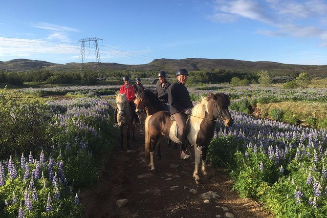 2-hours-private-horse-riding-to-lake-hafravatn-reykjavik-mos