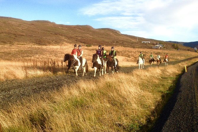 2-hours-private-horse-riding-to-lake-hafravatn-reykjavik-mos