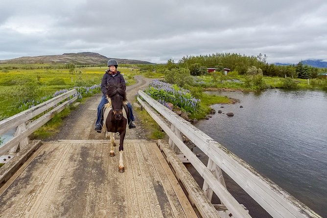 2-hours-private-horse-riding-to-lake-hafravatn-reykjavik-mos